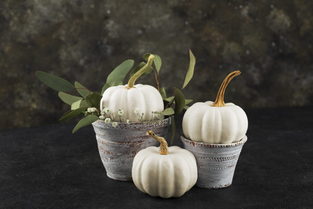 Are Small White Pumpkins Edible?