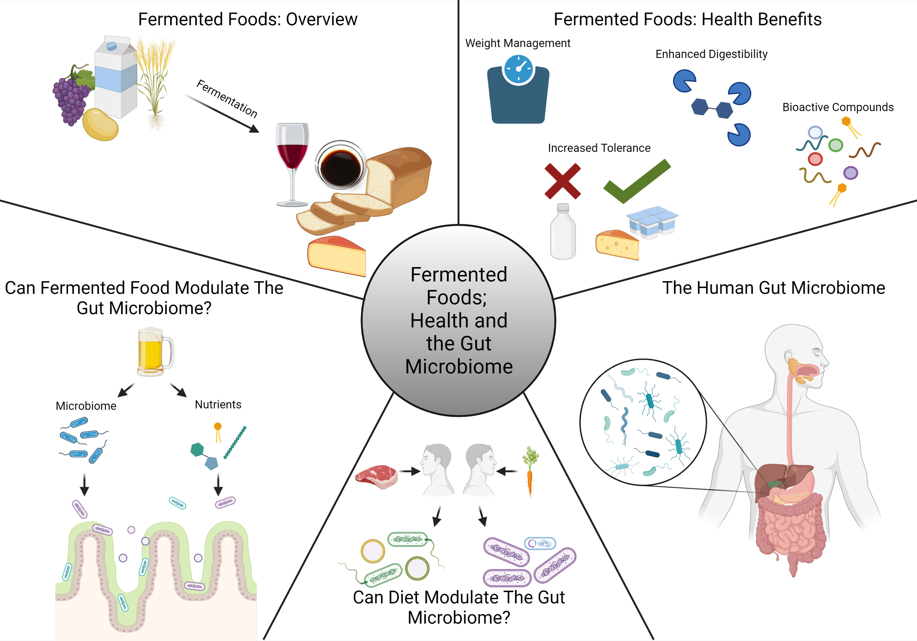 How to Benefit from Fermented Foods