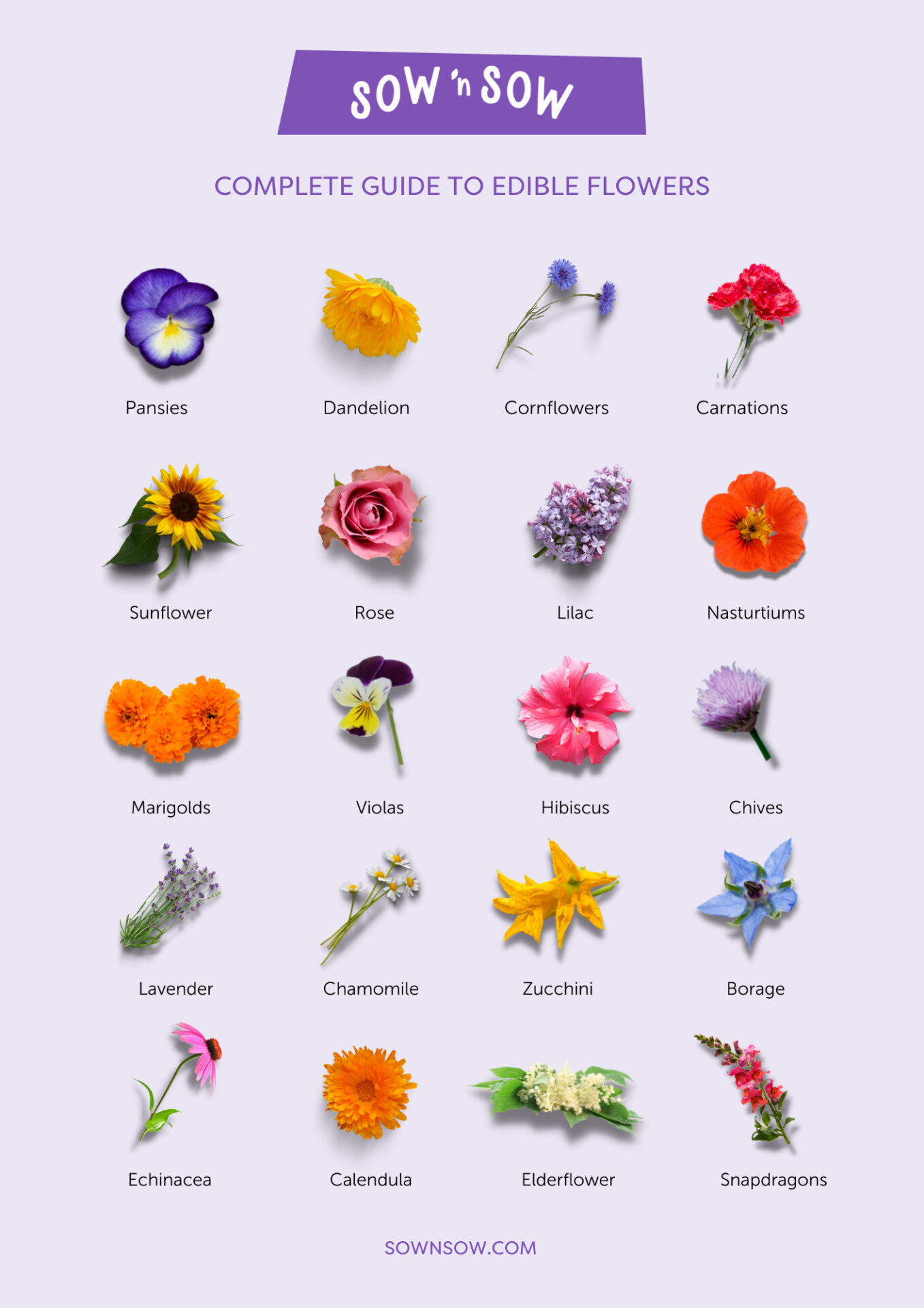 How to Find Edible Flowers