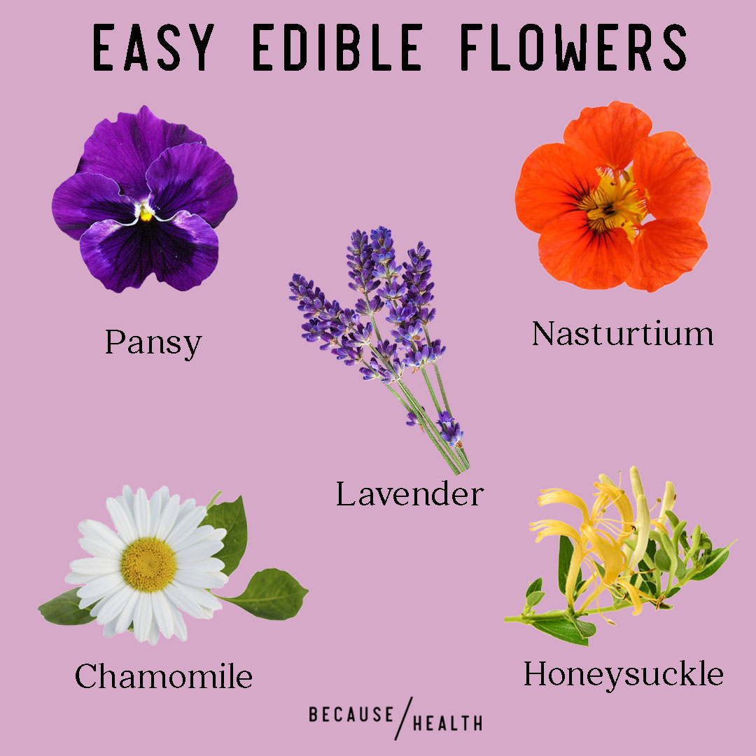 How to Grow Edible Flowers