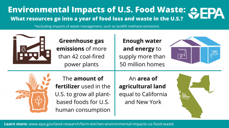 How to Reduce Food Waste