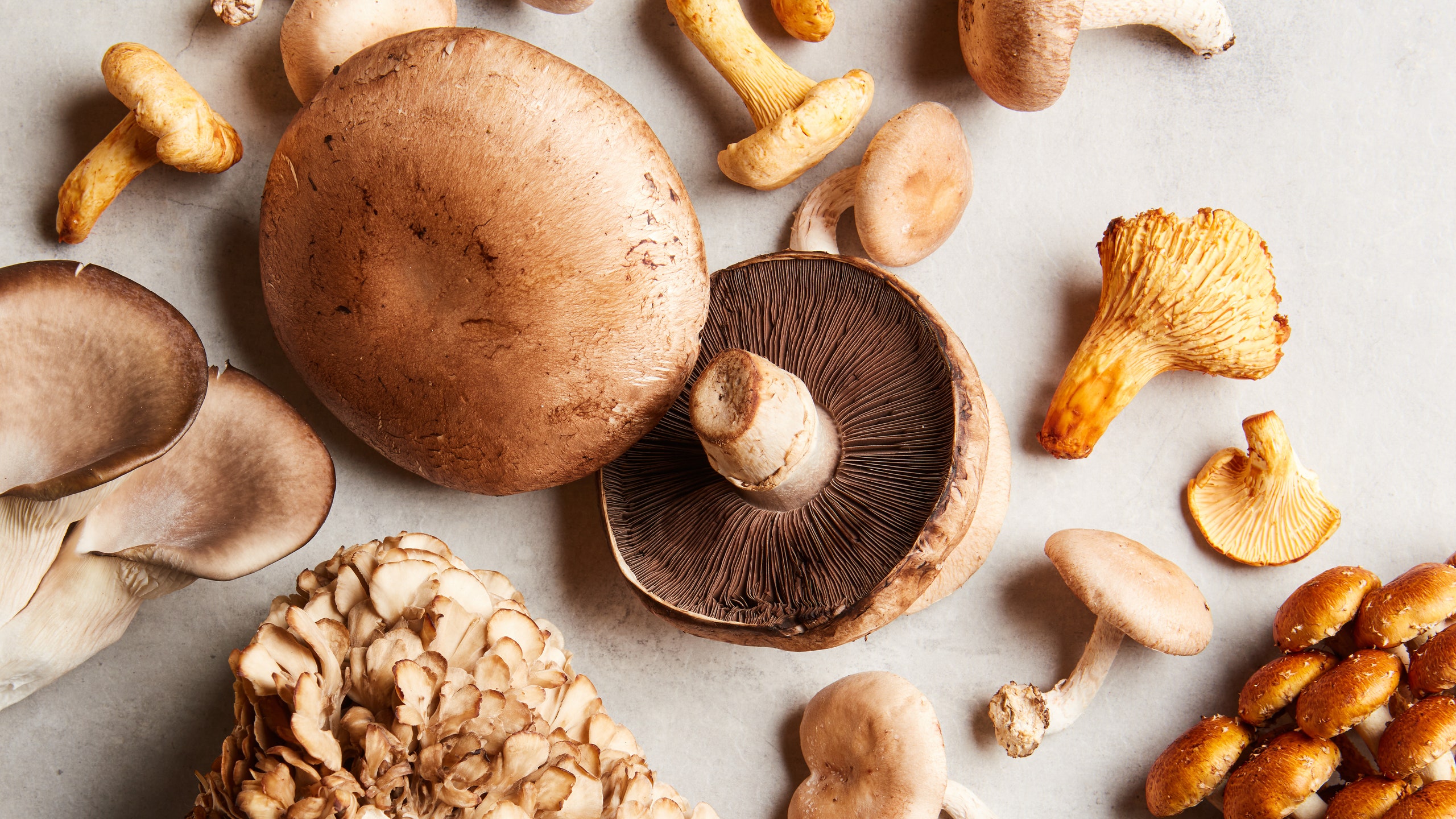 How to Store Wild Mushrooms